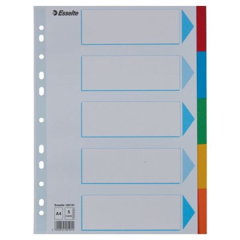 Przekładka czysta A4 mix kolorów 160g 5k [mm:] 225x297 Esselte (100191)