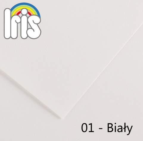 Brystol Iris 01 B1 biały 240g 25k [mm:] 700x1000 Canson (200040440)