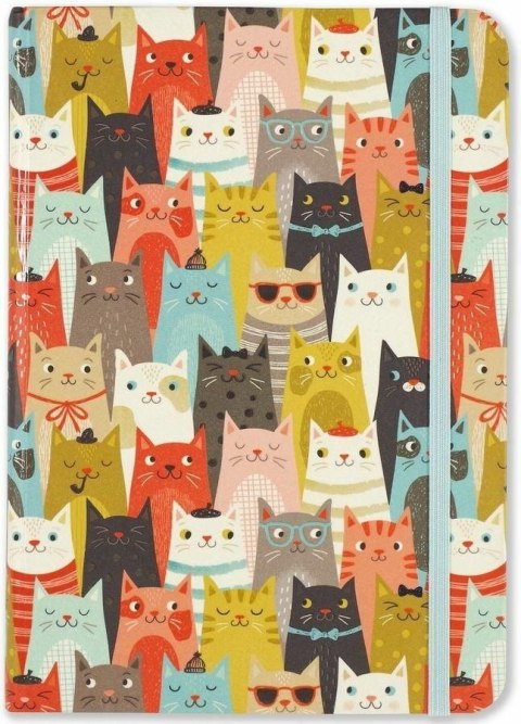 Notes (notatnik) Mini Koty Peter Peter Pauper Press