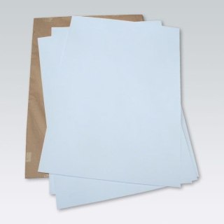 Brystol B1 biały 250g 50k [mm:] 700x1000 Mondi (3490)