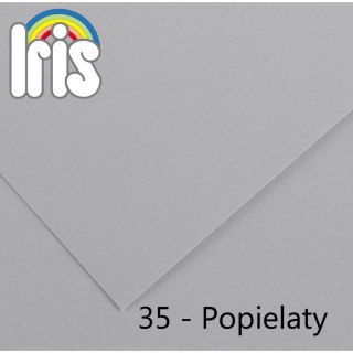 Brystol Iris 35 A4 popielaty 120g 100k Canson (200040034)