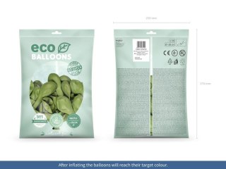 Balon gumowy Pastel Eco Balloons oliwkowy 260mm Partydeco (ECO26P-097)