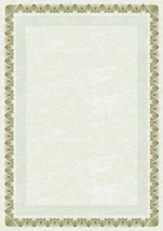 Dyplom A4 arkady złote 170g Galeria Papieru (210717)
