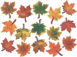 Ozdoba papierowa Craft-Fun Series liście papierowe Titanum (24XQ0501-10)