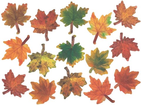 Ozdoba papierowa Craft-Fun Series liście papierowe Titanum (24XQ0501-10)