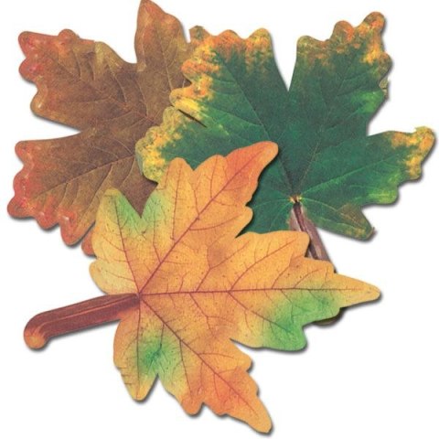 Ozdoba papierowa Craft-Fun Series liście papierowe Titanum (24XQ0501-10)