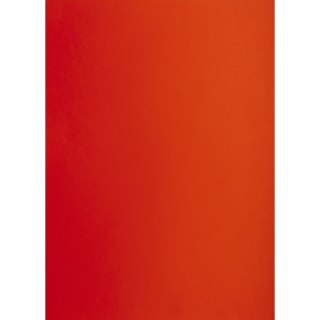 Brystol A1 czerwony 160g 25k [mm:] 610x860 TOP-2000 (400149551)