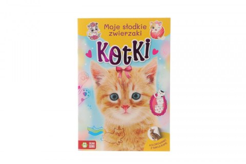 Książeczka edukacyjna Moje slodkie zwierzaki. Kotki Zielona Sowa