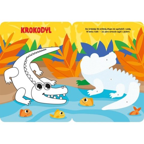 Książka dla dzieci Labirynty. Łamigłówki przedszkolaka od 5 lat Aksjomat