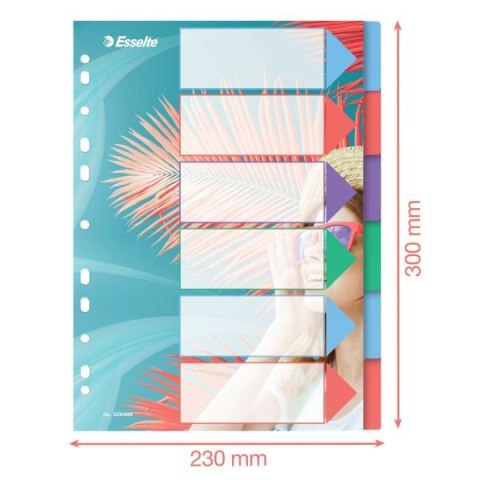 Przekładka czysta Colour Breeze A4 mix 6k Esselte (628499)