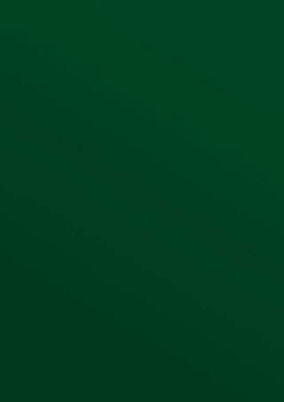 Karton do bindowania A4 błyszczący - chromolux zielony 250g Titanum