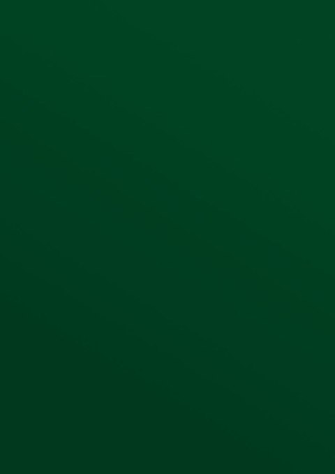 Karton do bindowania A4 błyszczący - chromolux zielony 250g Titanum