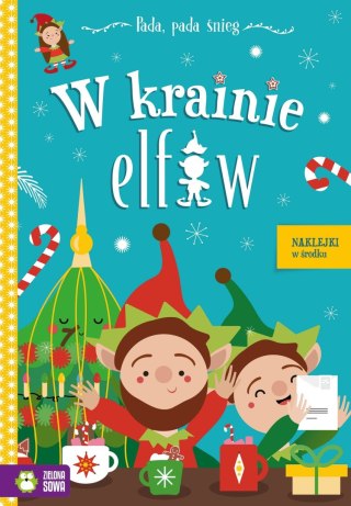 Książeczka edukacyjna W krainie elfów Zielona Sowa