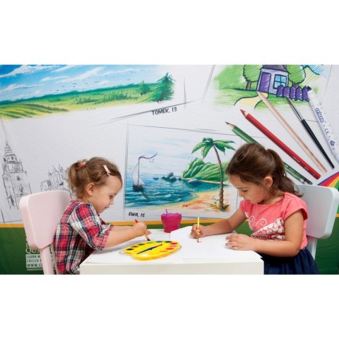 Pędzel nr mix Amex (R363B6 HL)