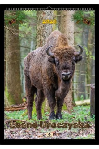 Kalendarz ścienny LEŚNE UROCZYSKA A2 Pan Kalendarzyk (A2 V.5)