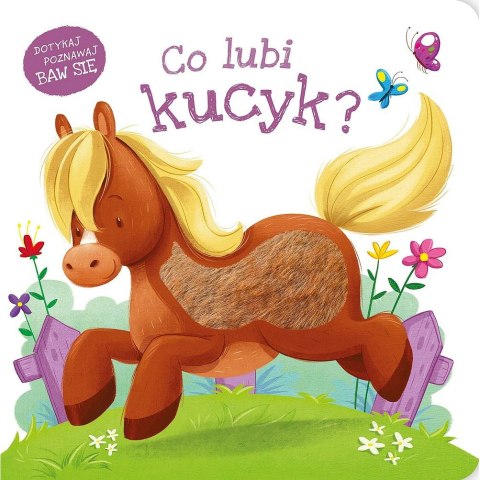 Książeczka edukacyjna Co lubi kucyk? Zielona Sowa