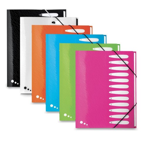 Teczka z przegródkami Art Pop A4 kolor: mix 12 przegródek Elba (400058483)