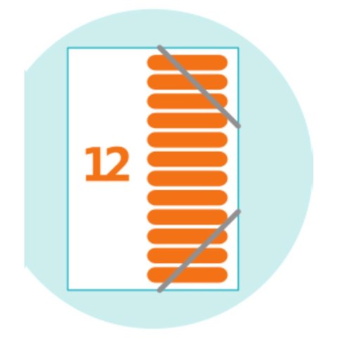 Teczka z przegródkami Art Pop A4 kolor: mix 12 przegródek Elba (400058483)