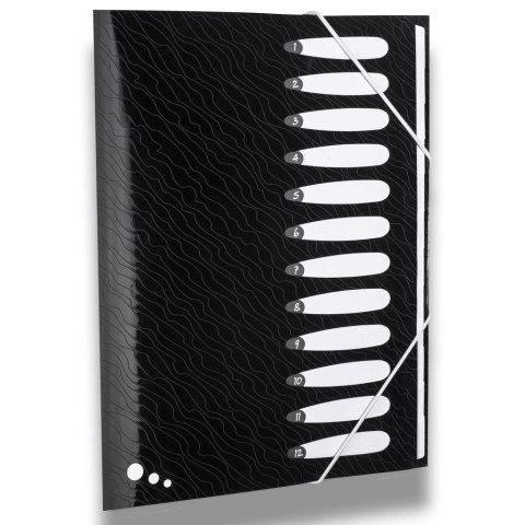 Teczka z przegródkami Art Pop A4 kolor: mix 12 przegródek Elba (400058483)