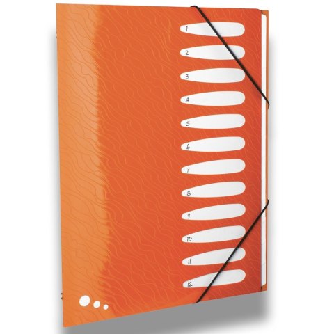 Teczka z przegródkami Art Pop A4 kolor: mix 12 przegródek Elba (400058483)