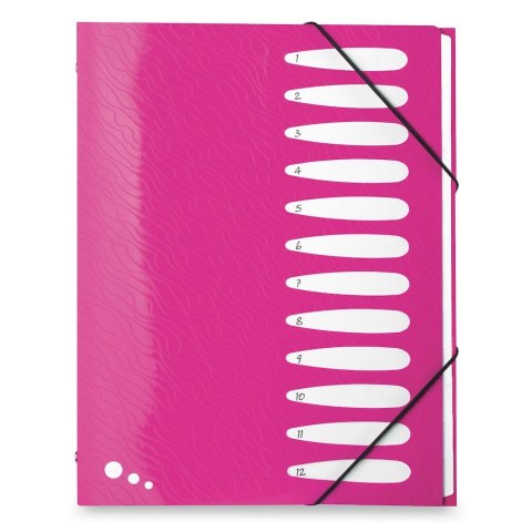 Teczka z przegródkami Art Pop A4 kolor: mix 12 przegródek Elba (400058483)