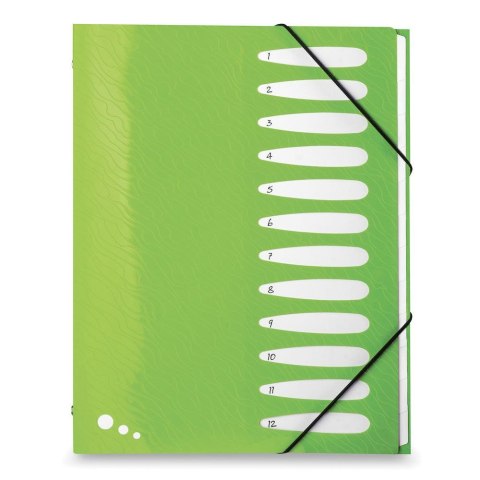 Teczka z przegródkami Art Pop A4 kolor: mix 12 przegródek Elba (400058483)