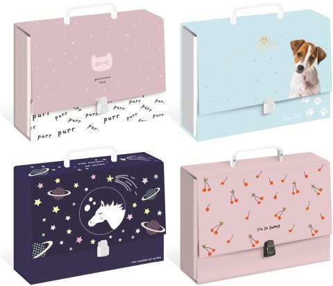 Teczka z szerokim grzbietem na zatrzask C4 mix Interdruk (TERAC4G)