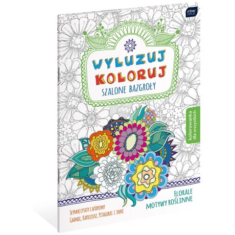 Kolorowanka Wyluzuj Koloruj Szalone bazgroły Interdruk (MAB5WYL)