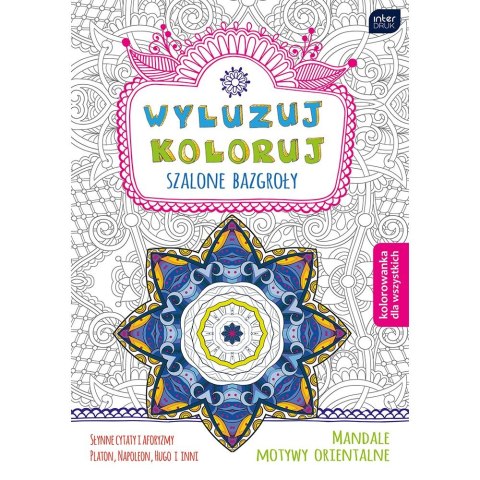 Kolorowanka Wyluzuj Koloruj Szalone bazgroły Interdruk (MAB5WYL)