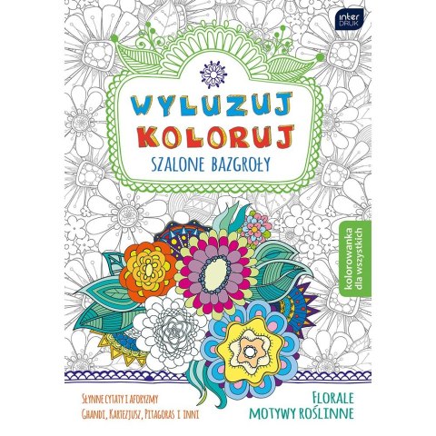 Kolorowanka Wyluzuj Koloruj Szalone bazgroły Interdruk (MAB5WYL)