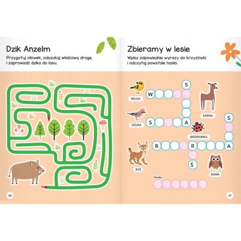 Książka dla dzieci Łamigłówki przedszkolaka z wiewiórką od 5 lat Aksjomat