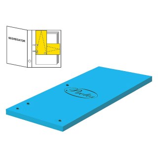 Przekładka czysta 1/3 A4 niebieska 160g 50k Protos