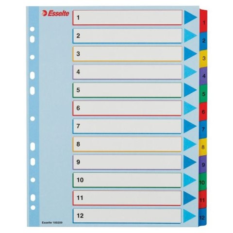 Przekładka numeryczna MYLAR A4 mix kolorów 160g 12k 1-12 Esselte (100209)
