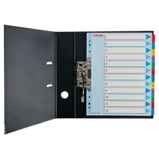 Przekładka numeryczna MYLAR A4 mix kolorów 160g 12k 1-12 Esselte (100209)