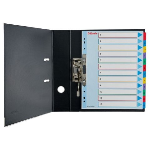 Przekładka numeryczna MYLAR A4 mix kolorów 160g 12k 1-12 Esselte (100209)