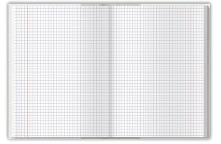 Brulion B5 colors niebieski 160k. 70g krata TOP-2000 (400169208)