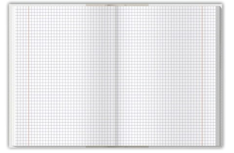 Brulion B5 colors niebieski 160k. 70g krata TOP-2000 (400169208)