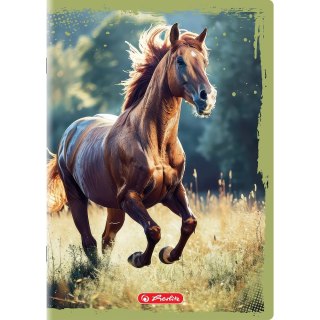 Zeszyt A5 Animals 16k. 70g gładki Herlitz (400196854)
