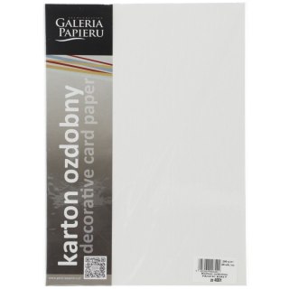 Papier ozdobny (wizytówkowy) A4 pacific biały biały 200g Galeria Papieru (204001)