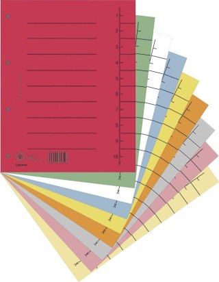 Przekładka numeryczna A4 mix kolorów 250g 100k 1-10 [mm:] 235x300 Donau (8610001S-99)