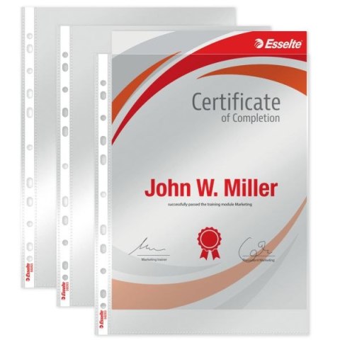 Koszulki na dokumenty krystaliczne A4 kolor: przezroczysty typu U 105 mic. Esselte (56093)