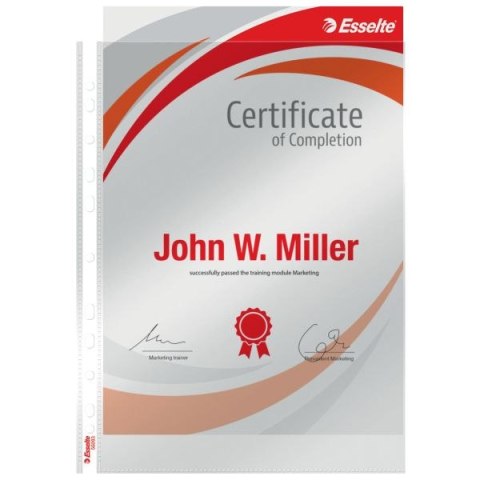 Koszulki na dokumenty krystaliczne A4 kolor: przezroczysty typu U 105 mic. Esselte (56093)