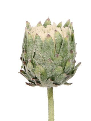 Kwiaty karczoch 65cm Home And Garden (8226)