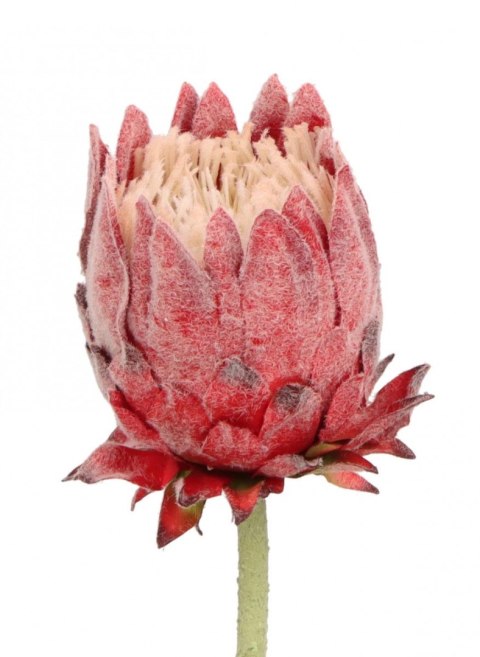 Kwiaty karczoch 65cm Home And Garden (8226)