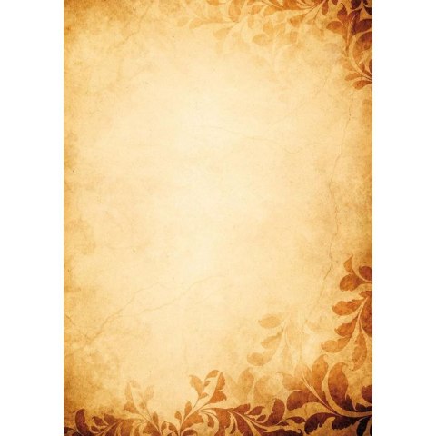Dyplom A4 botanic 170g Galeria Papieru (219617)