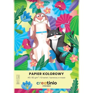Papier kolorowy A5 Creatinio mix 80g Top 2000 (400176683)