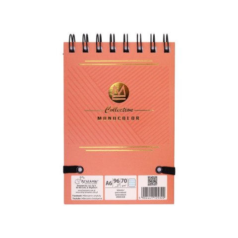 Kołozeszyt (kołonotatnik) A6 MONOCOLOR 96k. krata (nd) (5320)