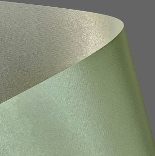 Papier ozdobny (wizytówkowy) A4 Prime zielony 220g Galeria Papieru (203613)