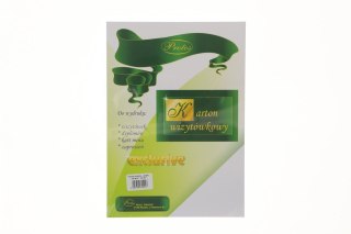 Papier ozdobny (wizytówkowy) A4 prążki biały 230g Protos