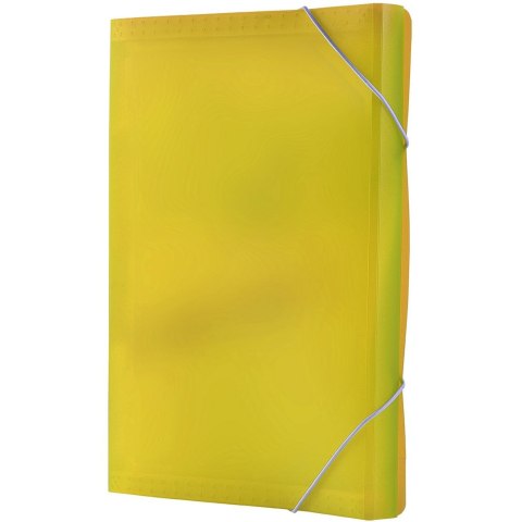 Teczka z przegródkami harmonijkowa A4 kolor: żółty 13 przegródek Tetis (BT621-Y)